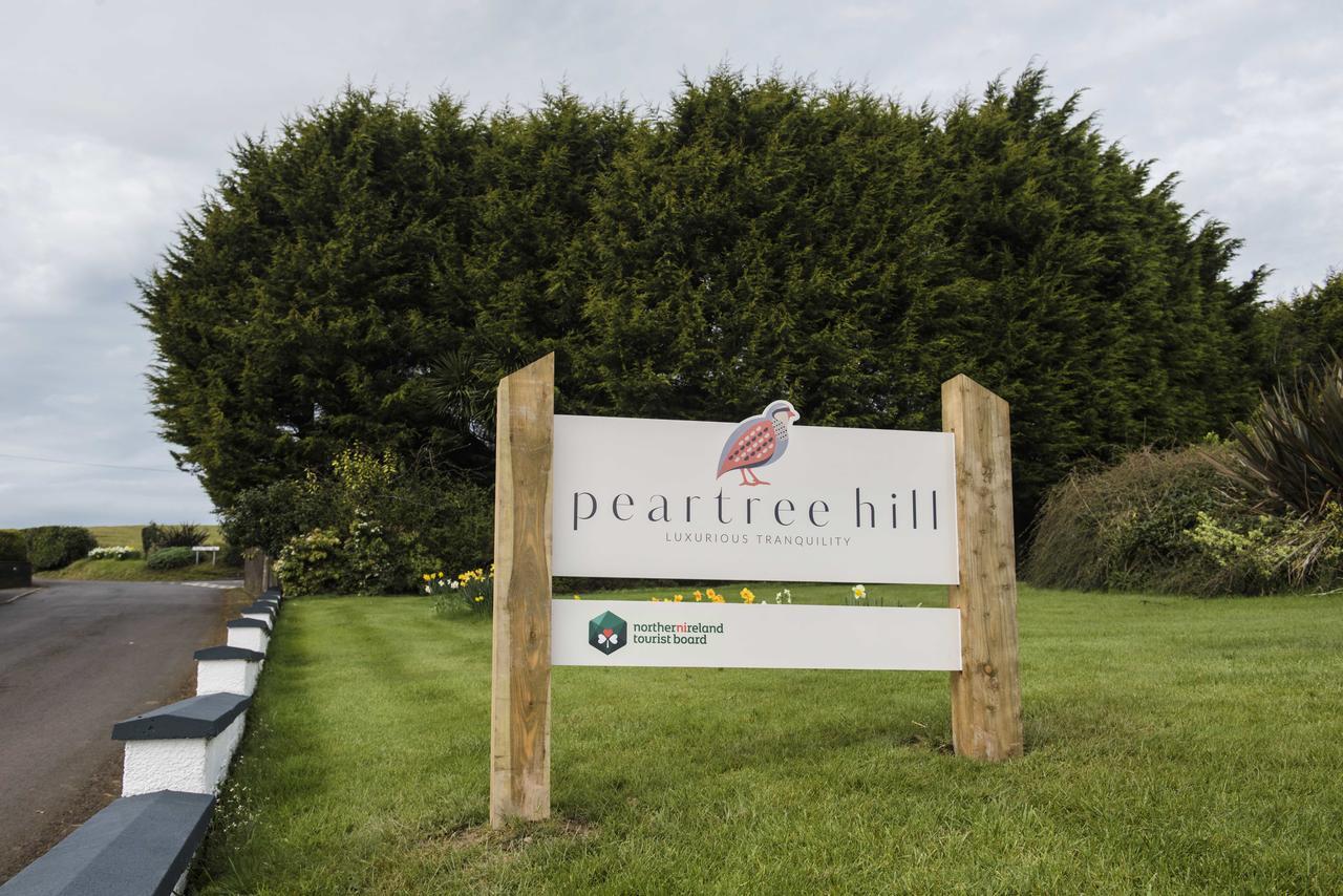 Bed and Breakfast Peartree Hill Dundonald  Exterior foto